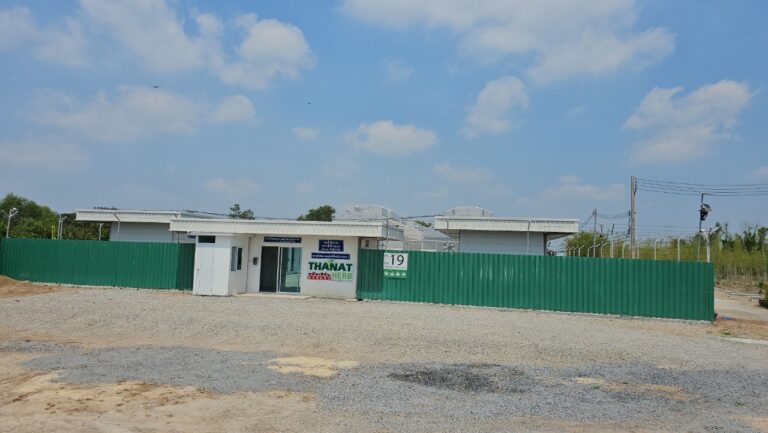 泰宝大麻种植基地