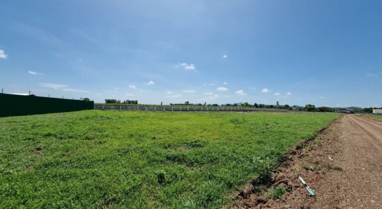 泰宝药业大麻农场